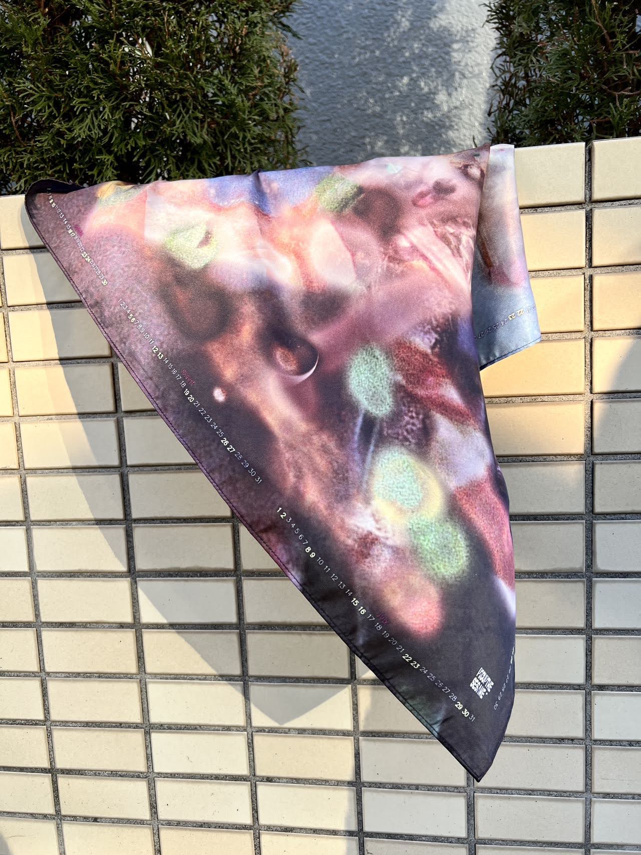 scarf+calendar - picupthesesame 