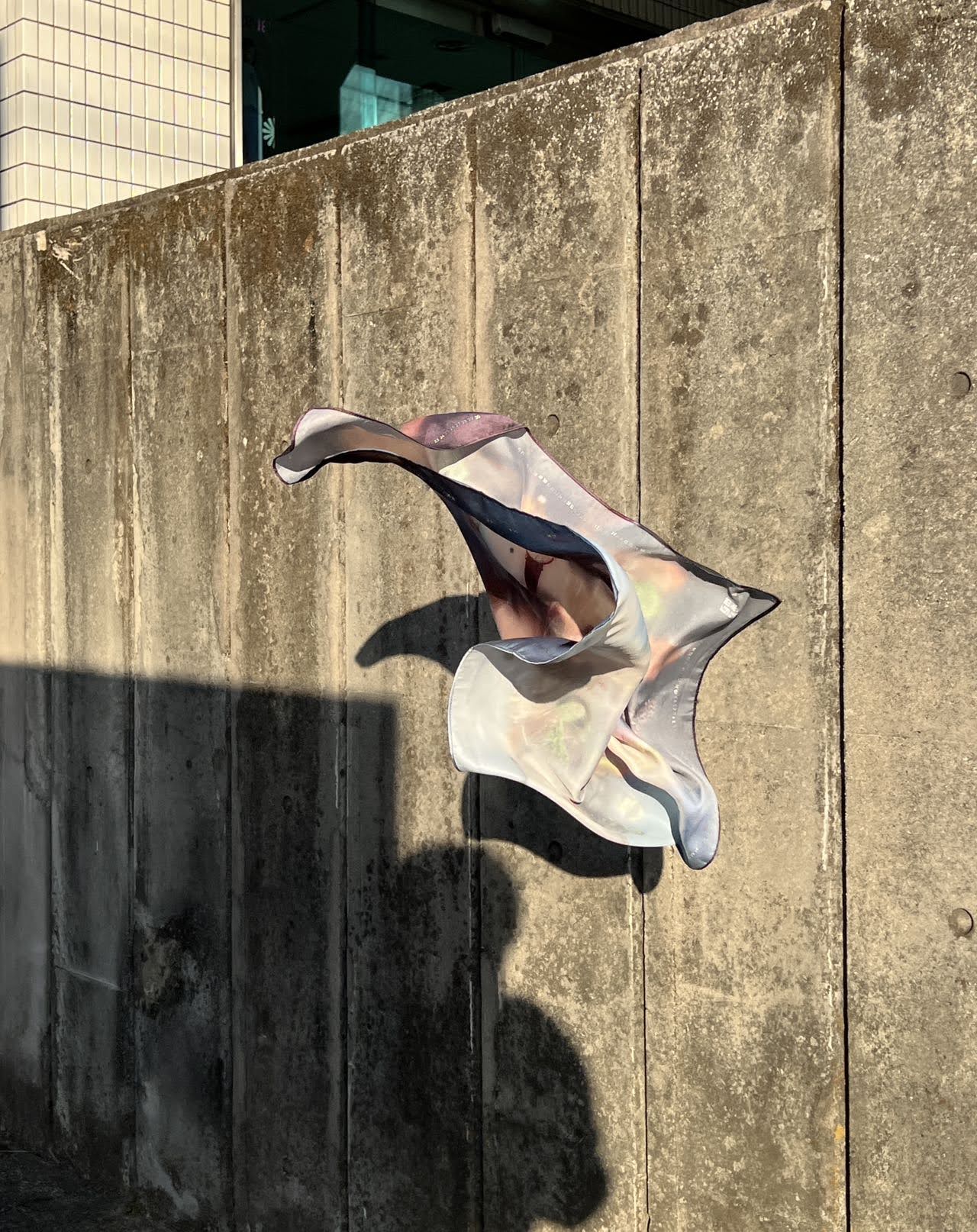 scarf+calendar - picupthesesame 