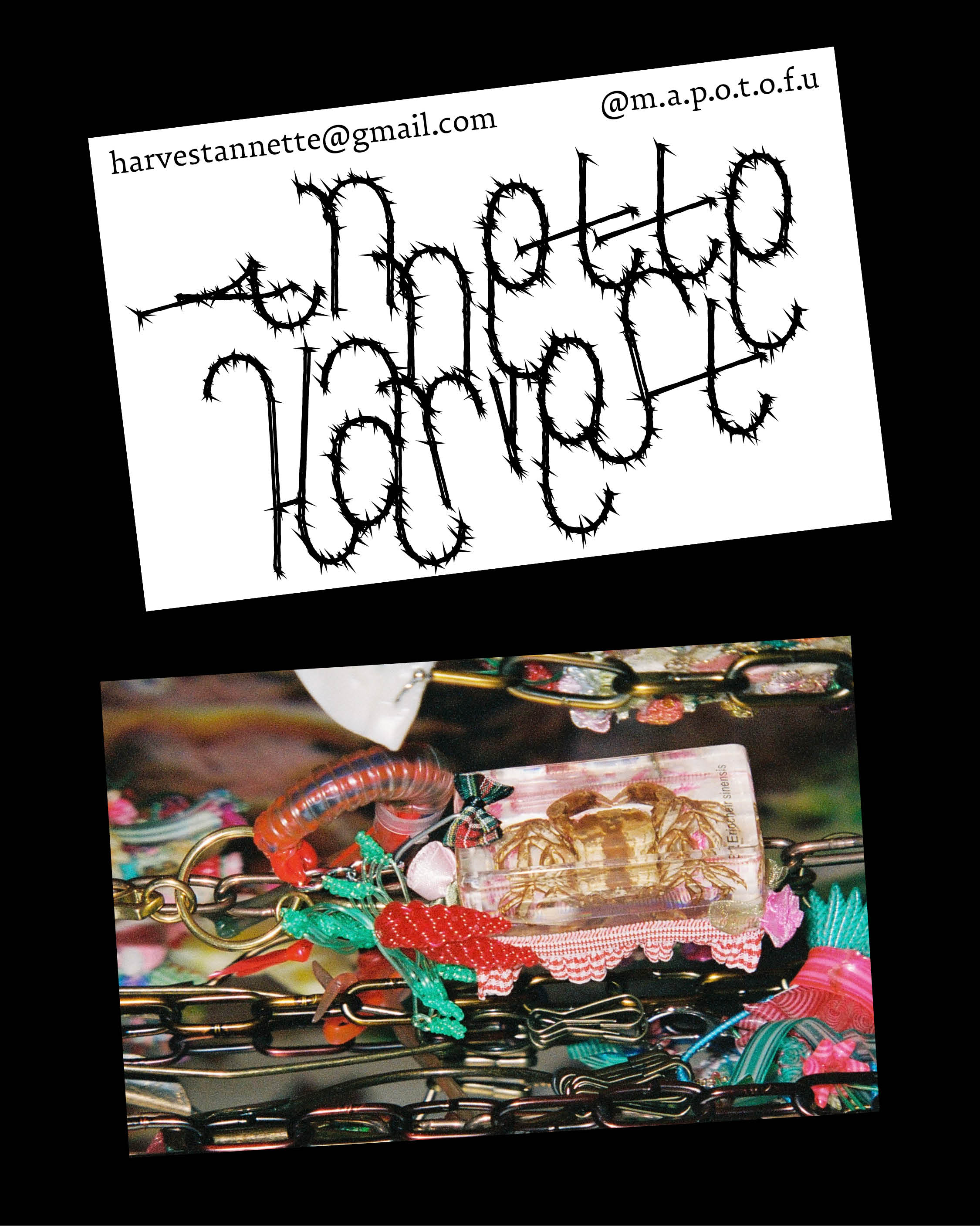 Annette Harvest's Visiting Card 